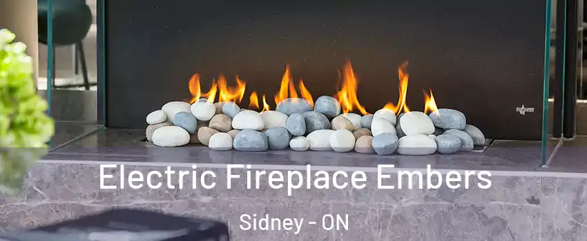  Electric Fireplace Embers Sidney - ON
