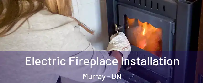  Electric Fireplace Installation Murray - ON