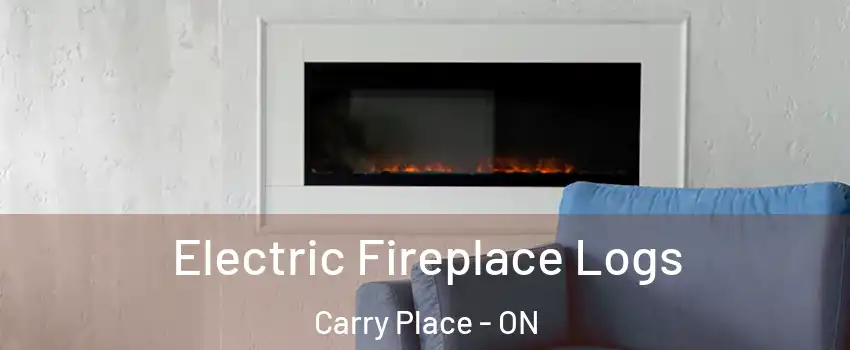  Electric Fireplace Logs Carry Place - ON