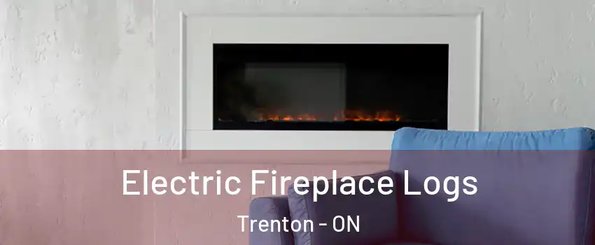  Electric Fireplace Logs Trenton - ON