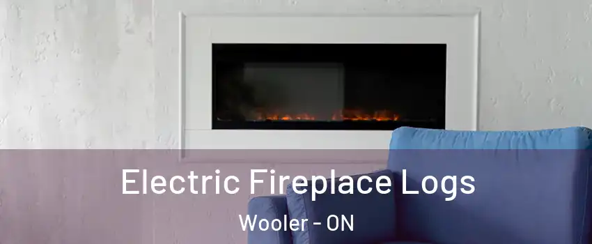  Electric Fireplace Logs Wooler - ON