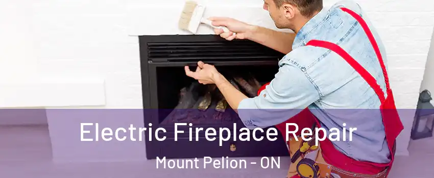  Electric Fireplace Repair Mount Pelion - ON