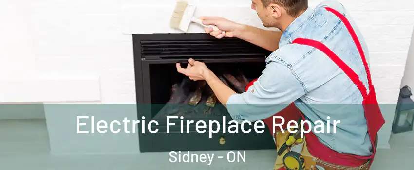  Electric Fireplace Repair Sidney - ON