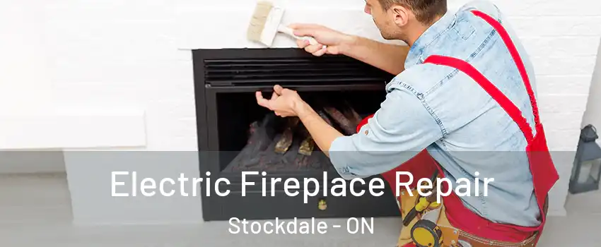  Electric Fireplace Repair Stockdale - ON