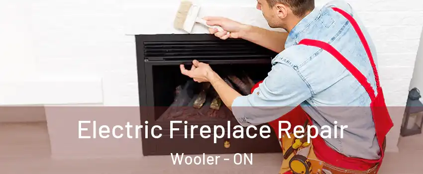  Electric Fireplace Repair Wooler - ON