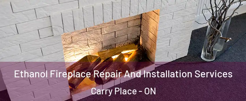  Ethanol Fireplace Repair And Installation Services Carry Place - ON
