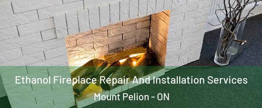  Ethanol Fireplace Repair And Installation Services Mount Pelion - ON