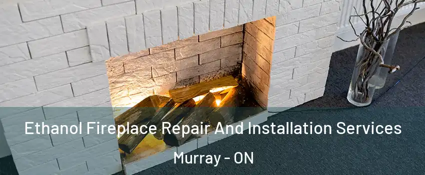  Ethanol Fireplace Repair And Installation Services Murray - ON