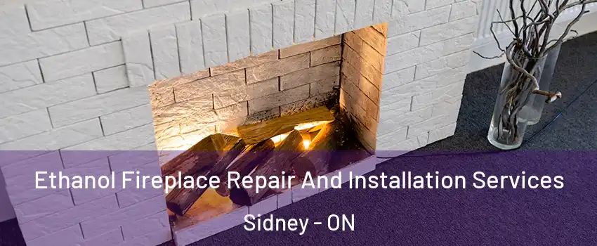  Ethanol Fireplace Repair And Installation Services Sidney - ON