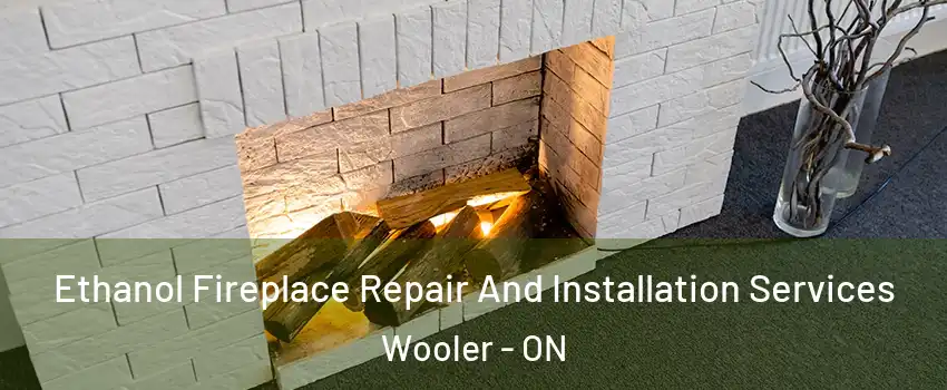  Ethanol Fireplace Repair And Installation Services Wooler - ON