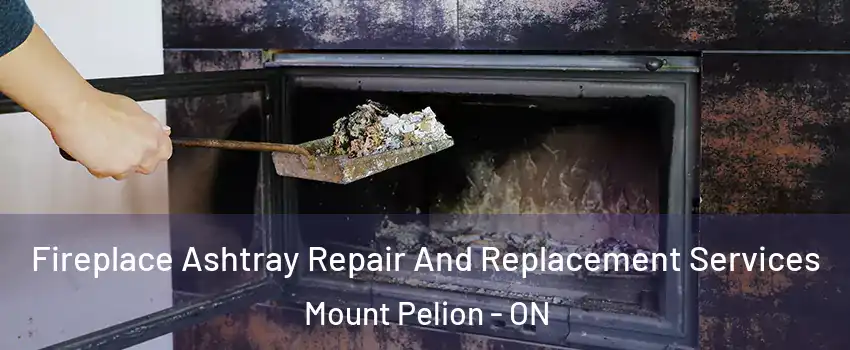  Fireplace Ashtray Repair And Replacement Services Mount Pelion - ON