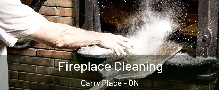  Fireplace Cleaning Carry Place - ON