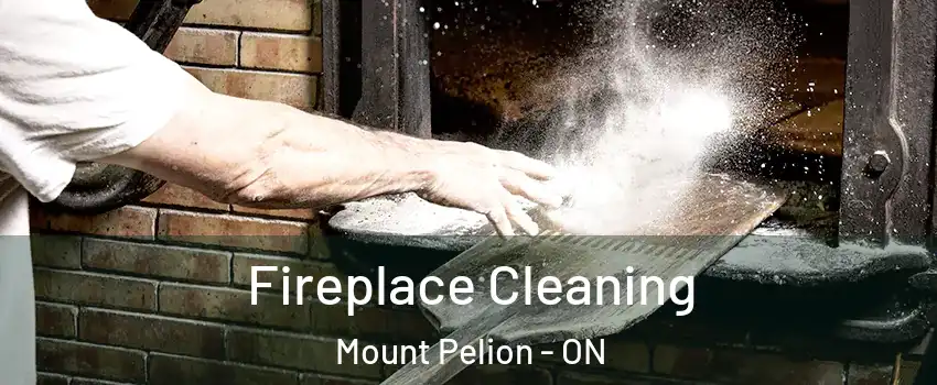  Fireplace Cleaning Mount Pelion - ON