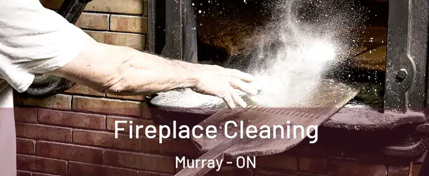  Fireplace Cleaning Murray - ON