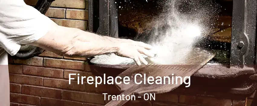  Fireplace Cleaning Trenton - ON