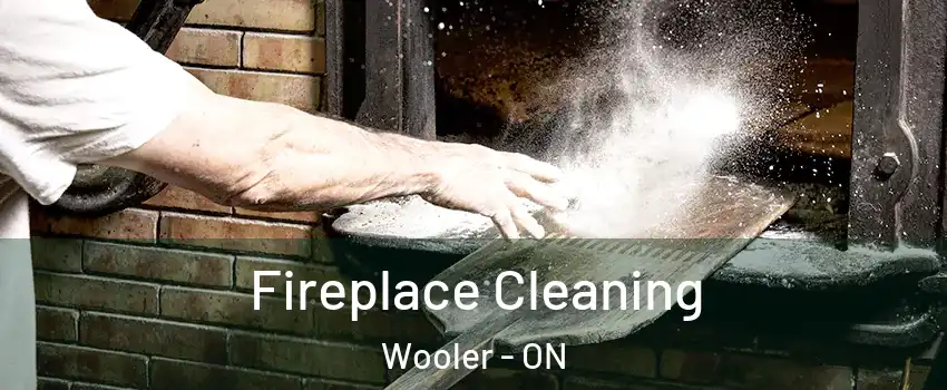  Fireplace Cleaning Wooler - ON