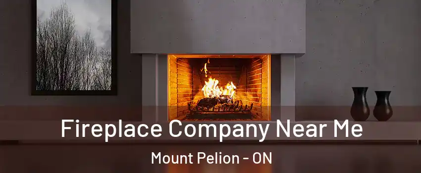  Fireplace Company Near Me Mount Pelion - ON