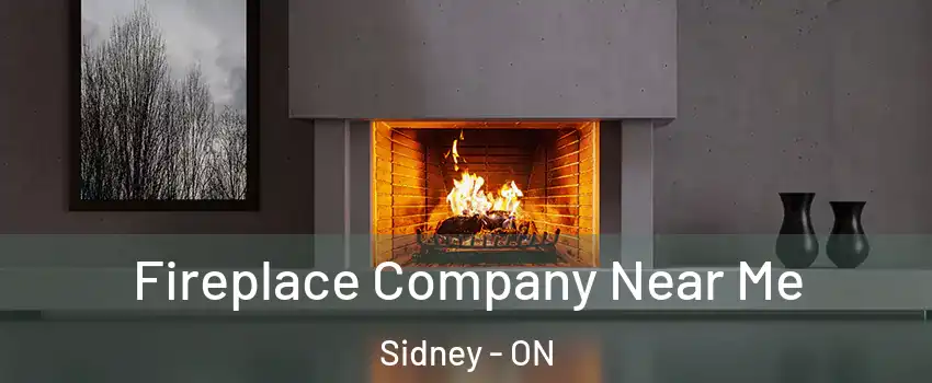  Fireplace Company Near Me Sidney - ON