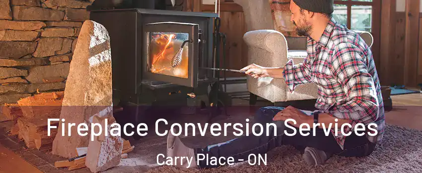  Fireplace Conversion Services Carry Place - ON