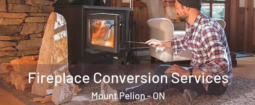  Fireplace Conversion Services Mount Pelion - ON