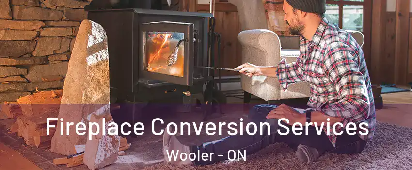  Fireplace Conversion Services Wooler - ON