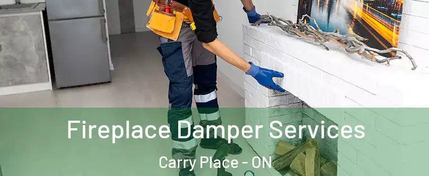  Fireplace Damper Services Carry Place - ON