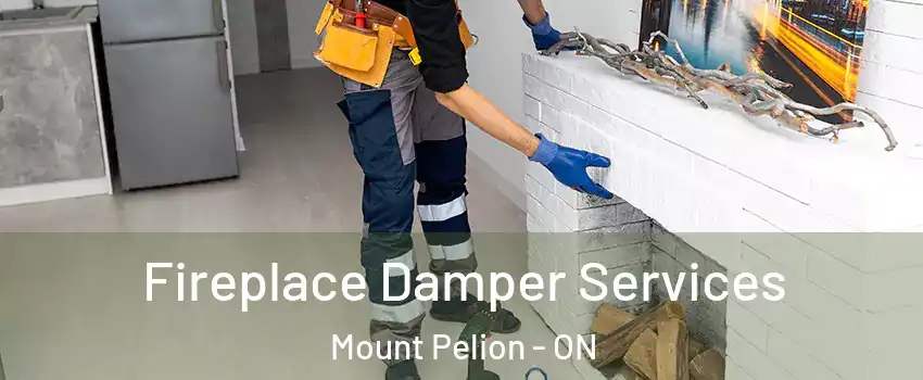  Fireplace Damper Services Mount Pelion - ON
