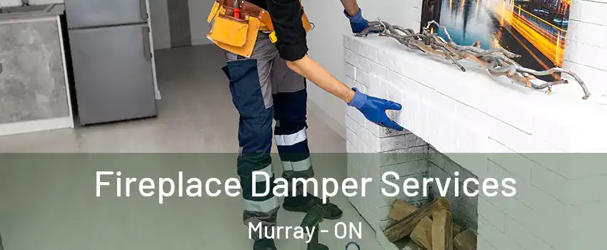  Fireplace Damper Services Murray - ON
