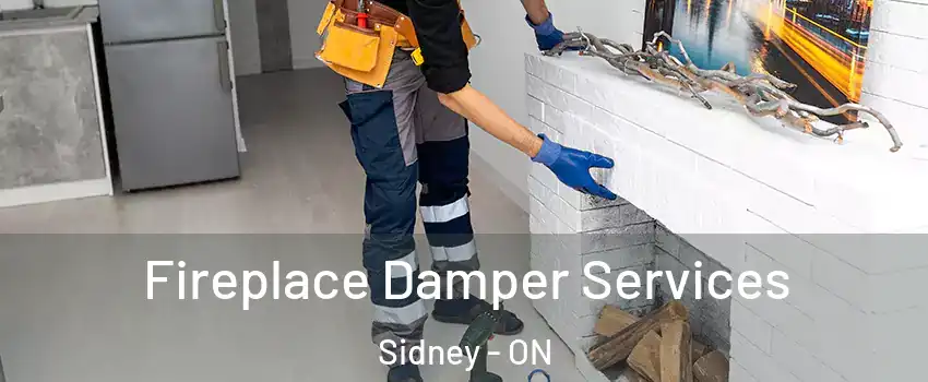  Fireplace Damper Services Sidney - ON
