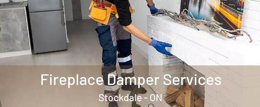  Fireplace Damper Services Stockdale - ON