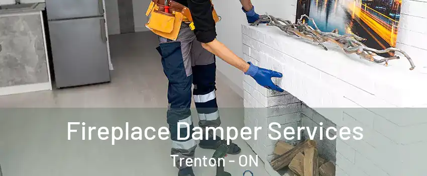  Fireplace Damper Services Trenton - ON
