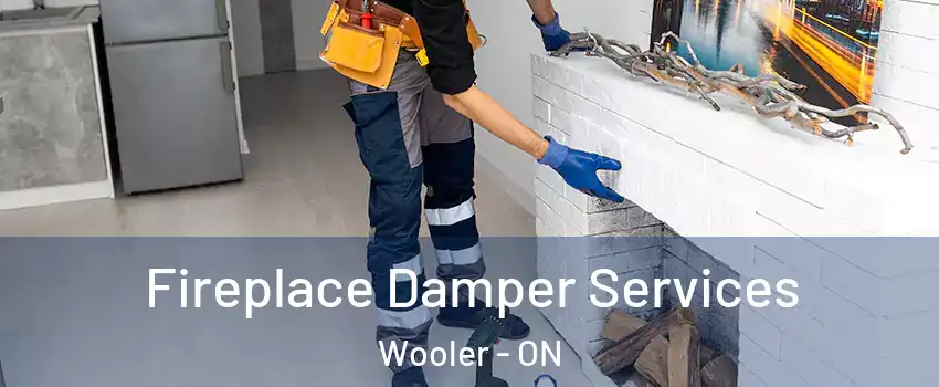  Fireplace Damper Services Wooler - ON