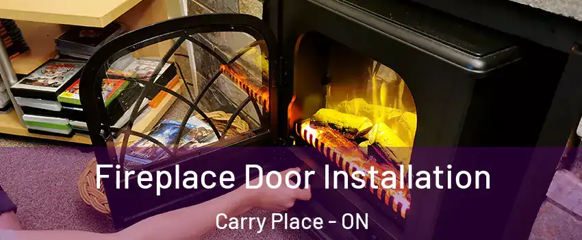  Fireplace Door Installation Carry Place - ON