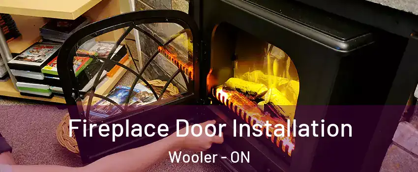  Fireplace Door Installation Wooler - ON