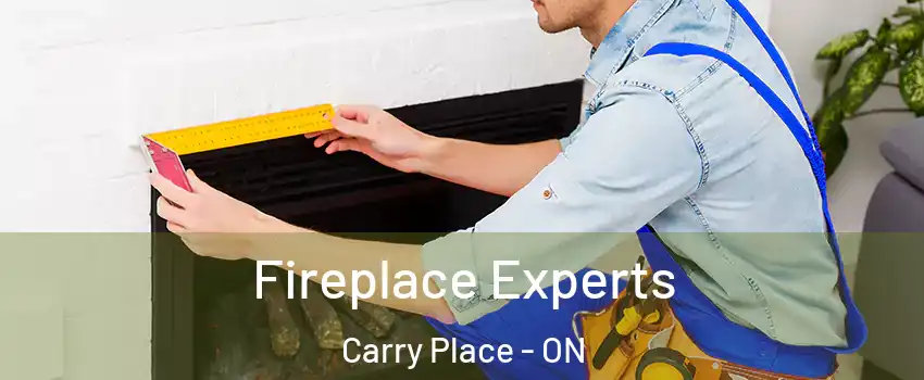  Fireplace Experts Carry Place - ON