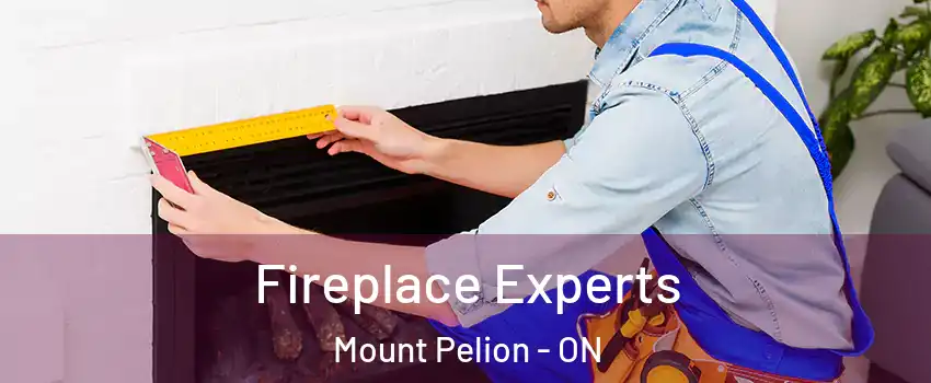  Fireplace Experts Mount Pelion - ON