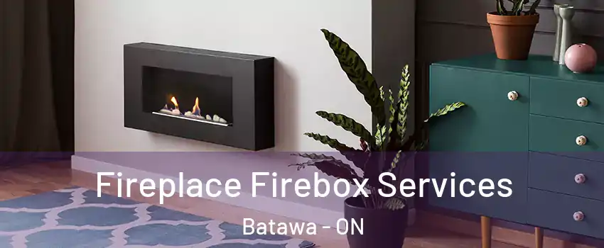  Fireplace Firebox Services Batawa - ON