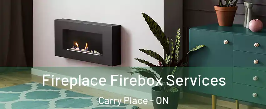  Fireplace Firebox Services Carry Place - ON