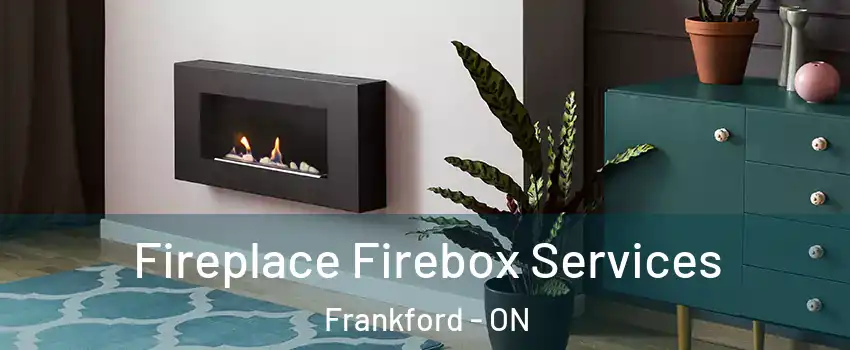  Fireplace Firebox Services Frankford - ON