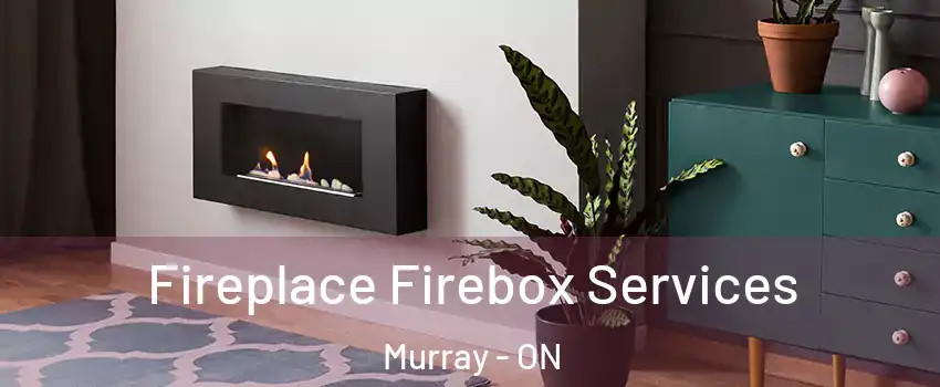  Fireplace Firebox Services Murray - ON
