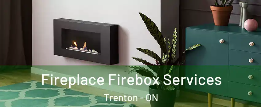  Fireplace Firebox Services Trenton - ON