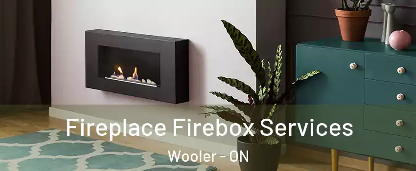  Fireplace Firebox Services Wooler - ON
