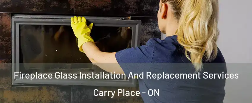  Fireplace Glass Installation And Replacement Services Carry Place - ON