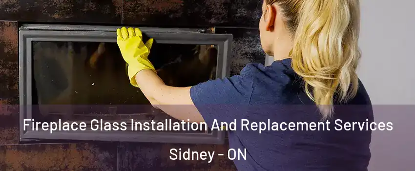  Fireplace Glass Installation And Replacement Services Sidney - ON
