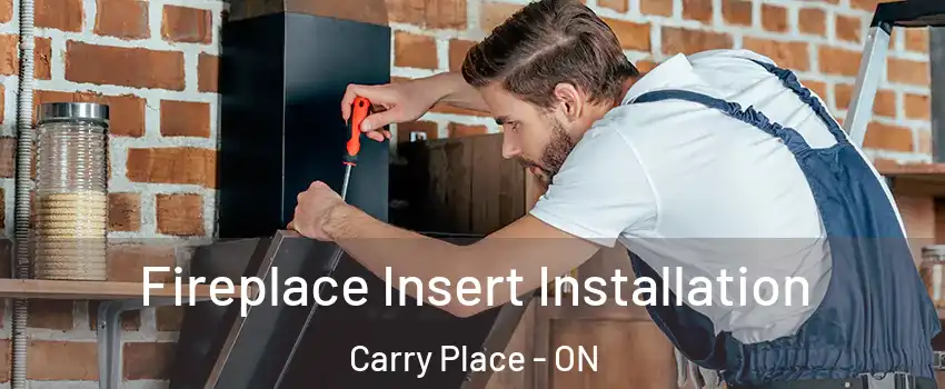  Fireplace Insert Installation Carry Place - ON