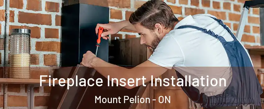  Fireplace Insert Installation Mount Pelion - ON