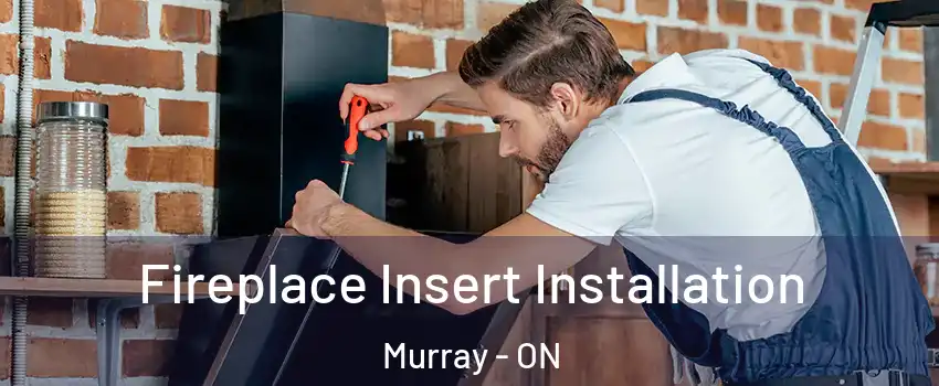 Fireplace Insert Installation Murray - ON