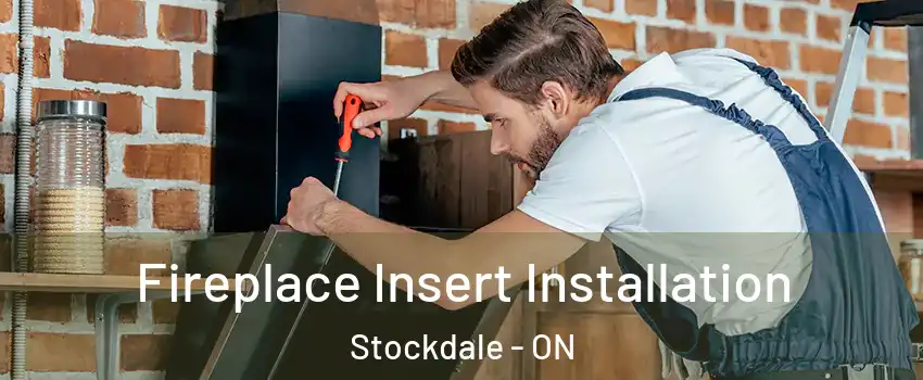  Fireplace Insert Installation Stockdale - ON