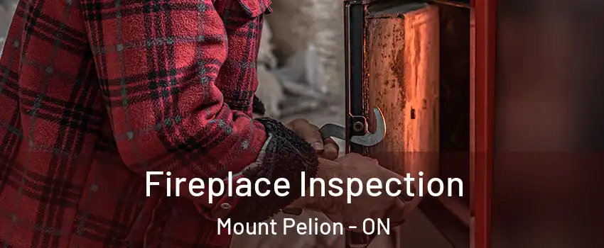  Fireplace Inspection Mount Pelion - ON