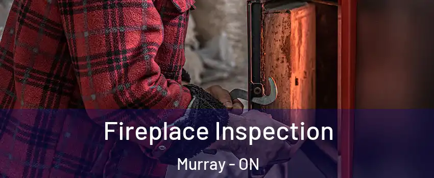  Fireplace Inspection Murray - ON